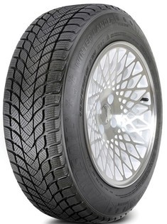 Landsail WINTER LANDER 205/55R16 91H